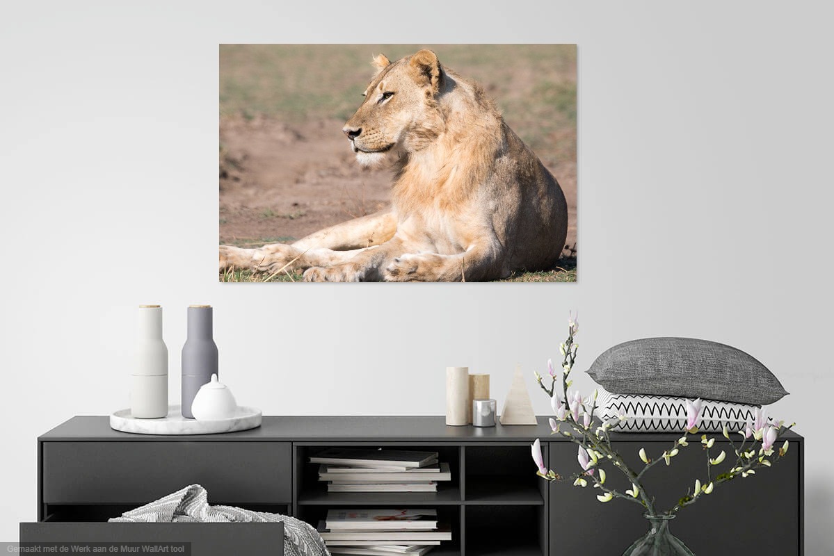 Werk aan de muur lioness